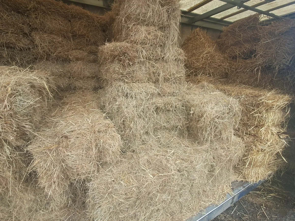 Small square bales of hay and straw - Image 2