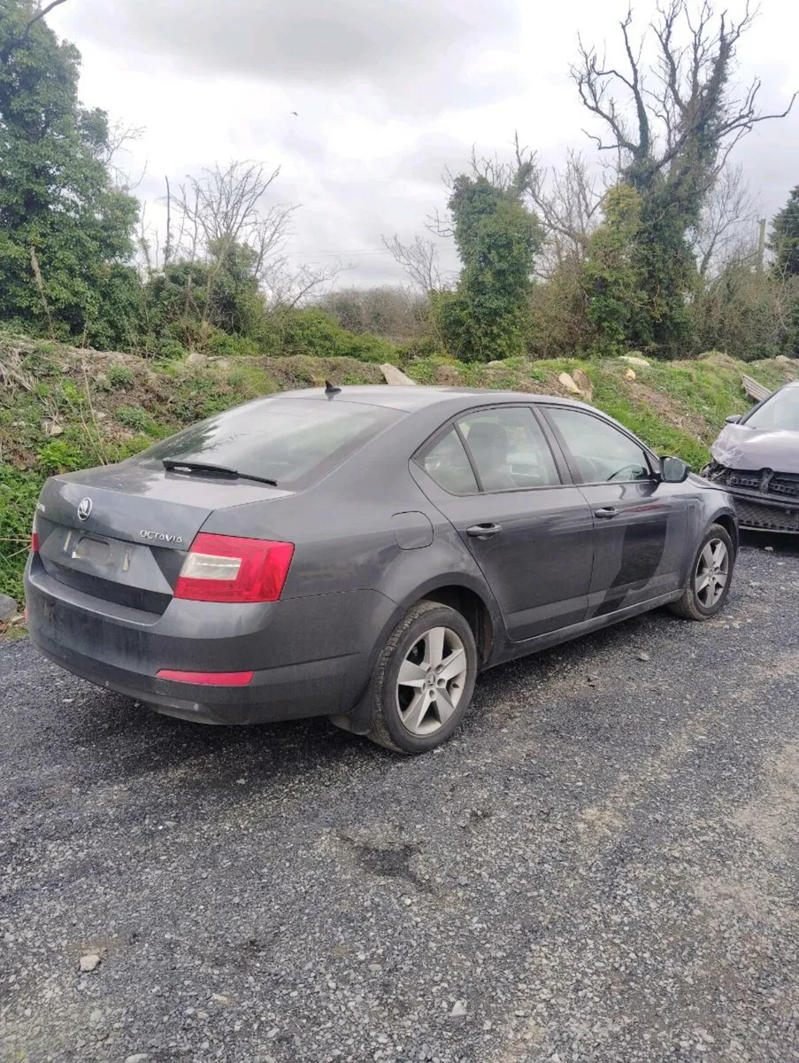 Breaking Skoda Octavia 2015 2.0tdi ckfc qse lf7y - Image 2
