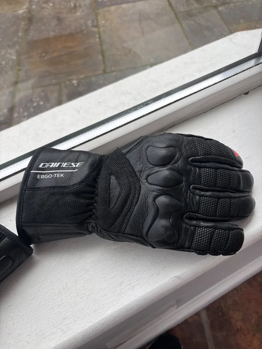 Ski Gloves Ergotek Pro Ski Gloves - Image 3