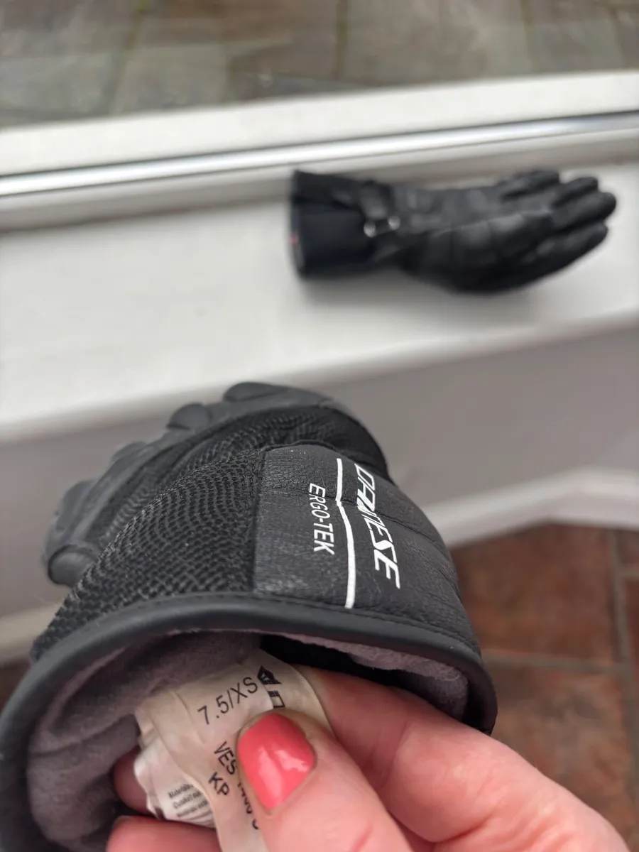 Ski Gloves Ergotek Pro Ski Gloves - Image 2