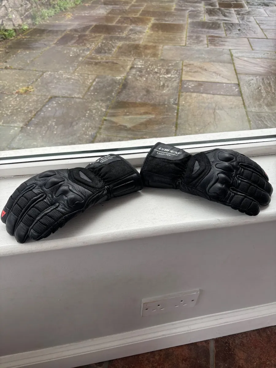 Ski Gloves Ergotek Pro Ski Gloves - Image 1