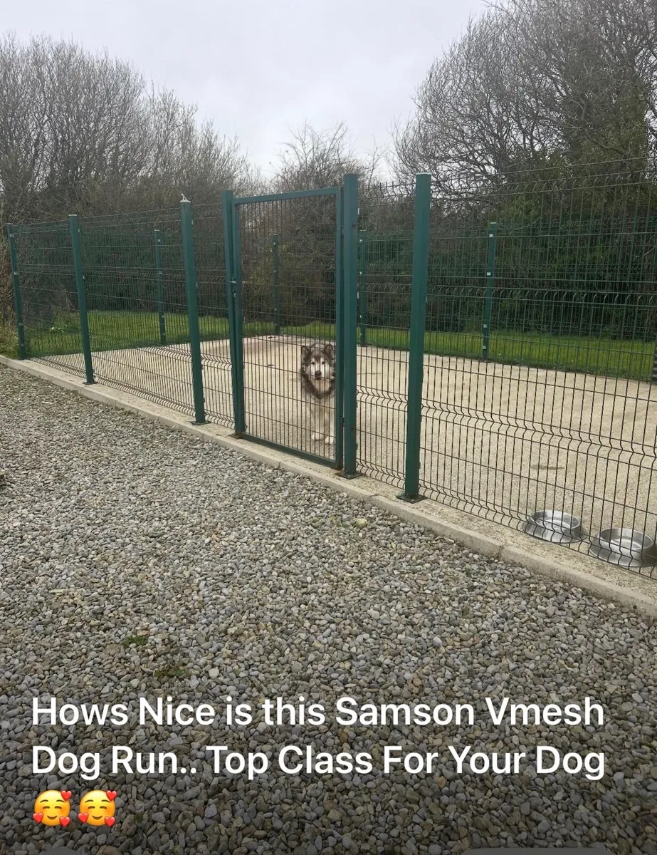 ‼️ SALE ‼️Luxury Dog runs/ homes Ireland - Image 1