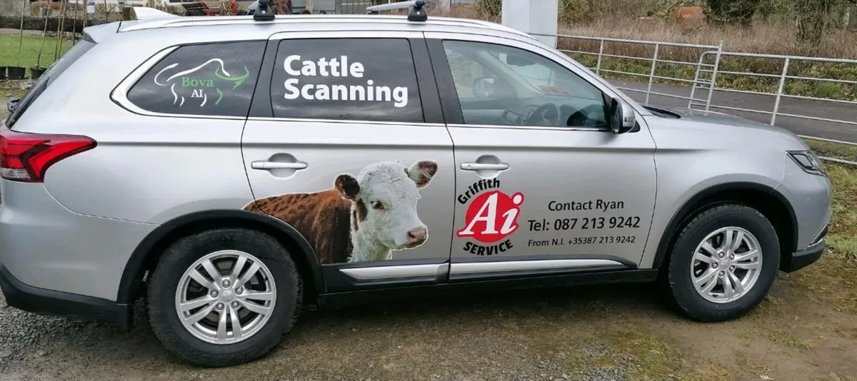 Cattle scanning and bull semen analysis - Image 1