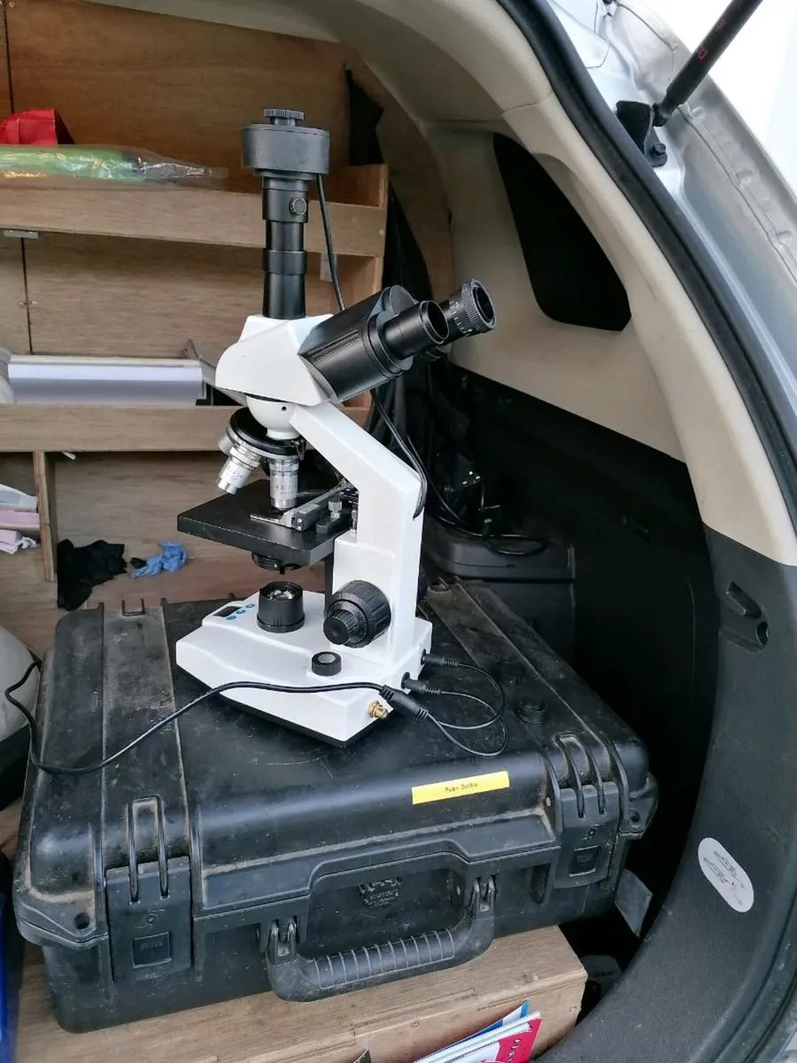 Cattle scanning and bull semen analysis - Image 3