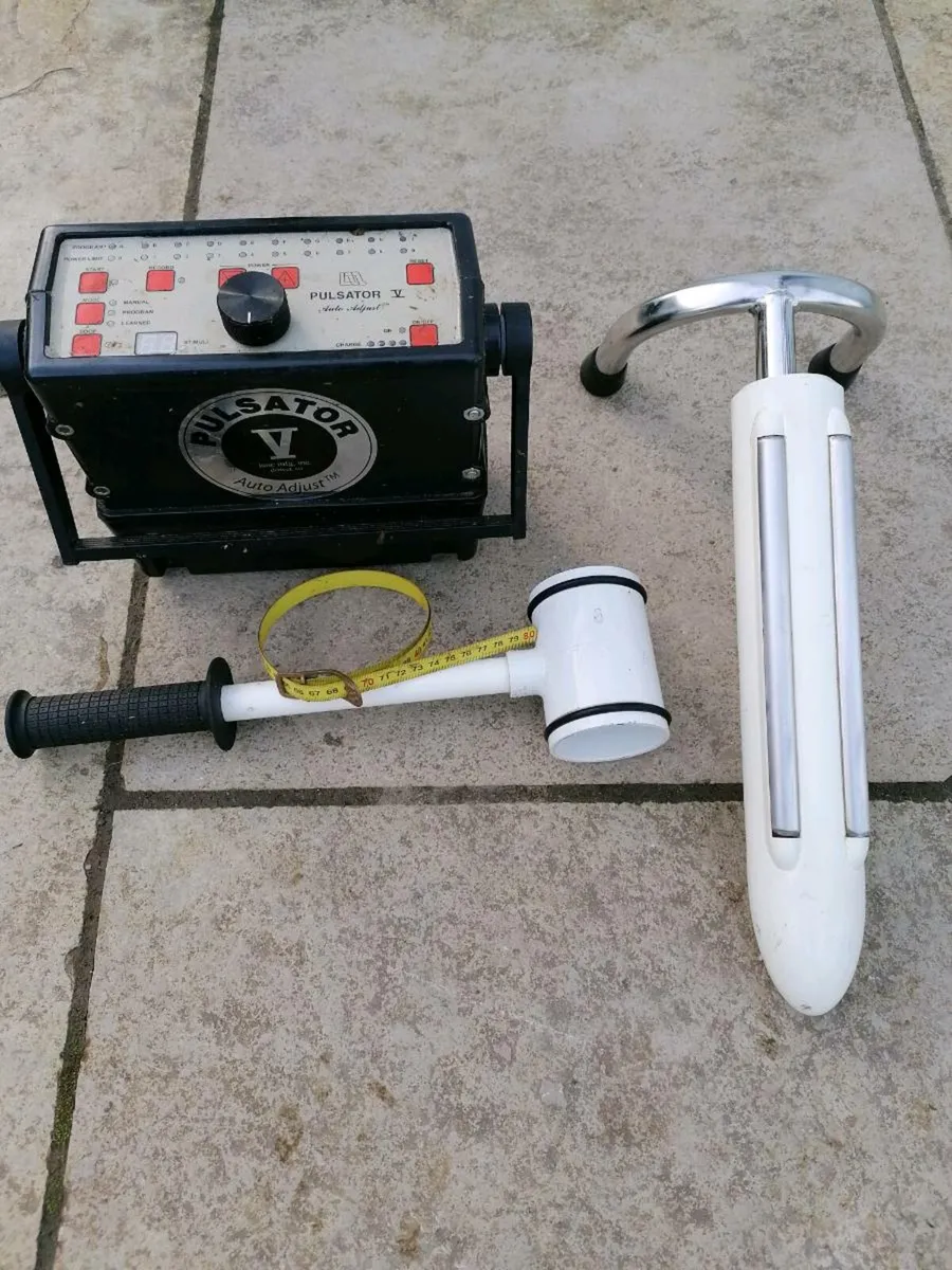 Cattle scanning and bull semen analysis - Image 4