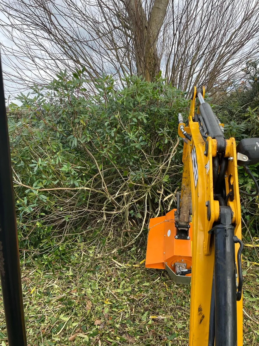 Mini digger and Flail Hedgecutter - Image 4