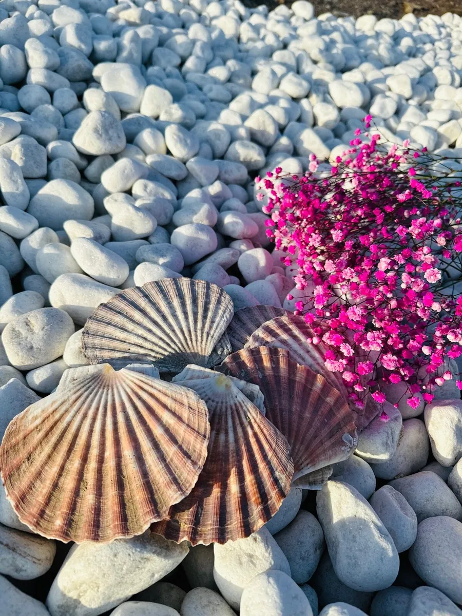 Plum slate boulders Rocks Black polished  cobbles - Image 1