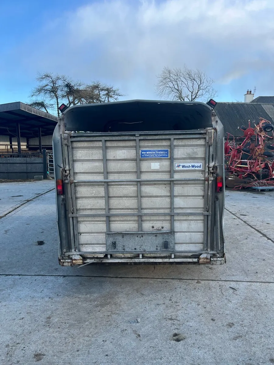 Ifor Williams Cattle trailer - Image 4