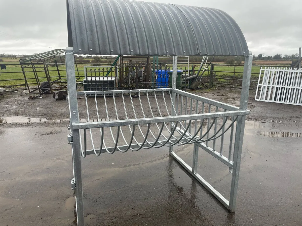 Calf Feeder - Image 3