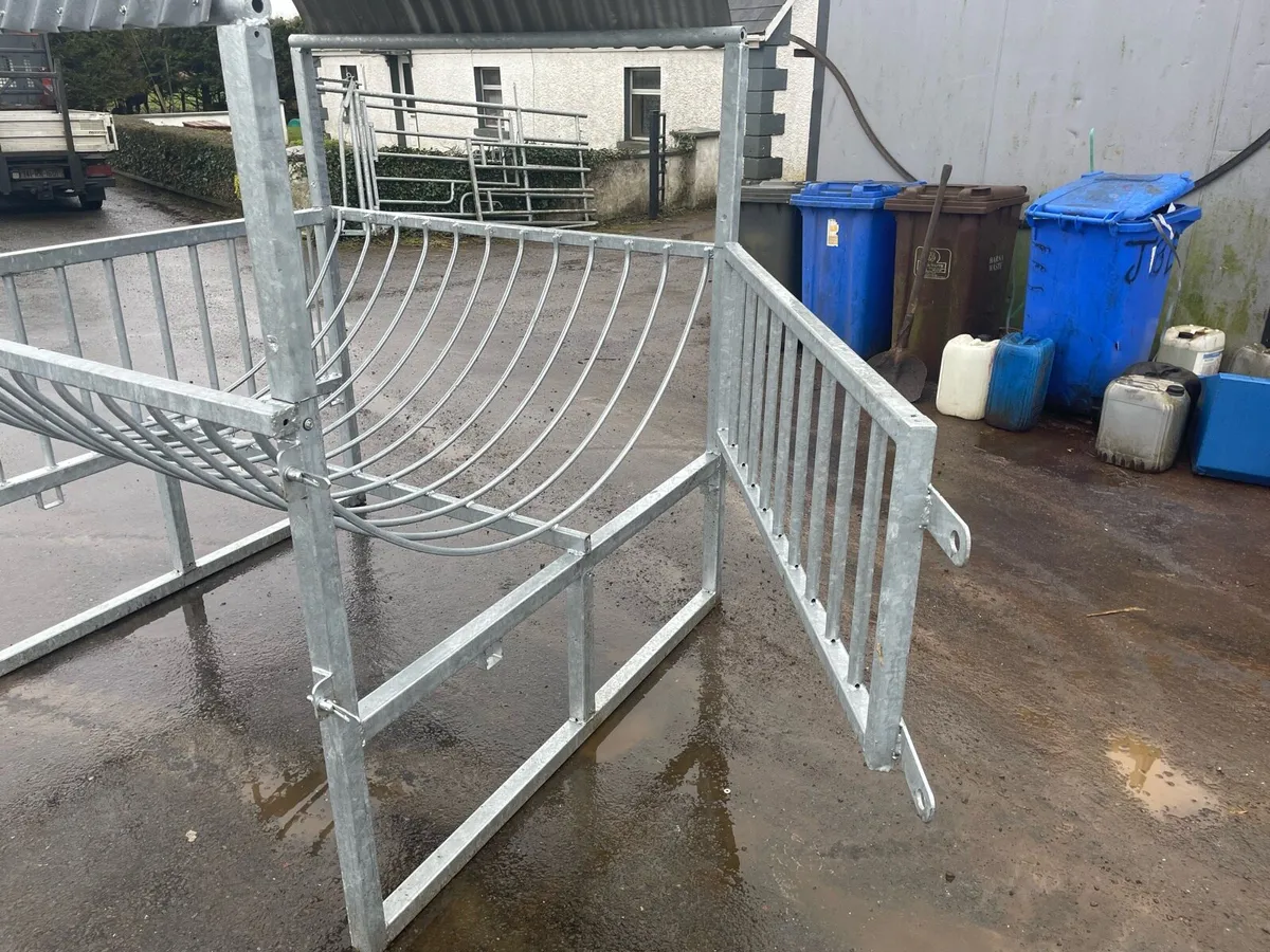Calf Feeder - Image 4