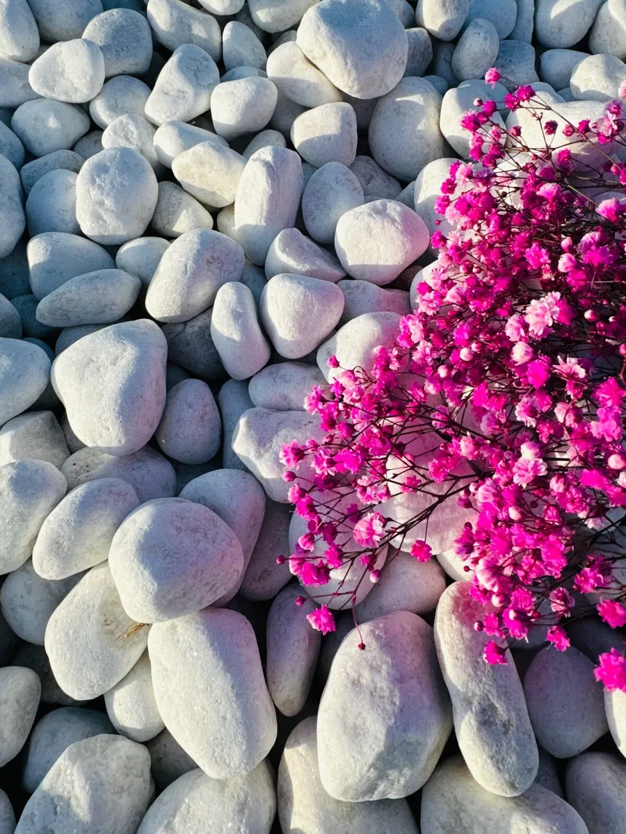 Stone, beach pebbles,beach cobbles.sea pebbles. - Image 3