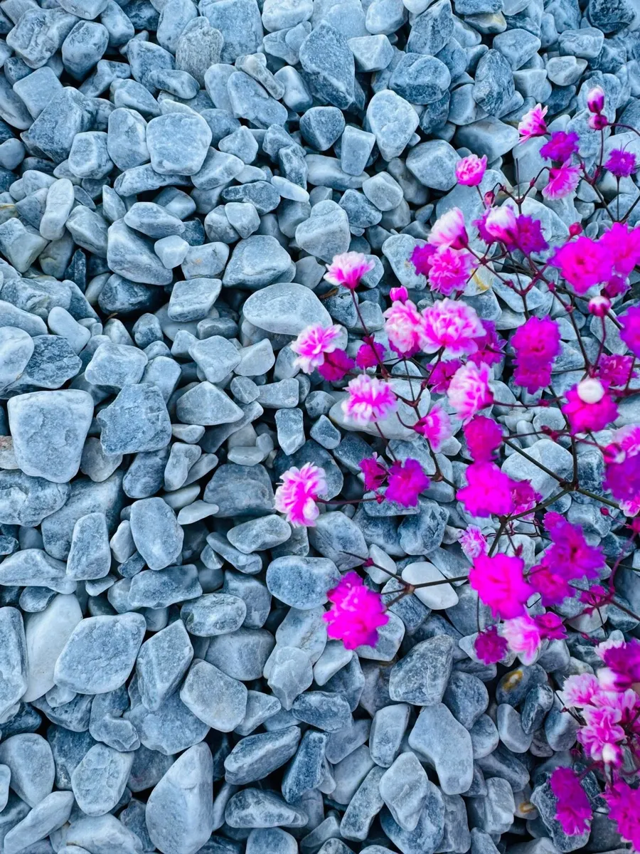 Stone, beach pebbles,beach cobbles.sea pebbles. - Image 4