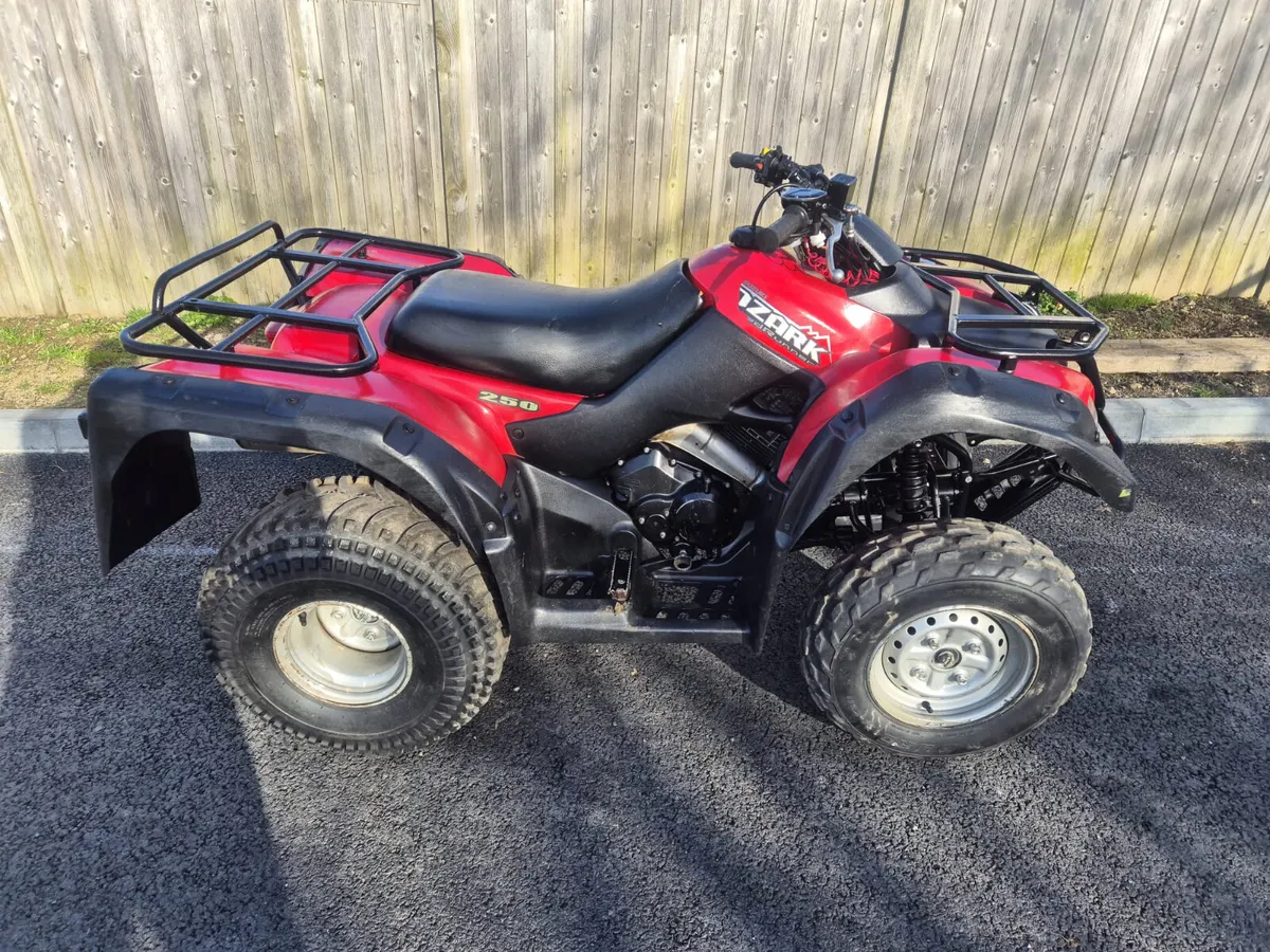 SUZUKI OZARK 250 - Image 1