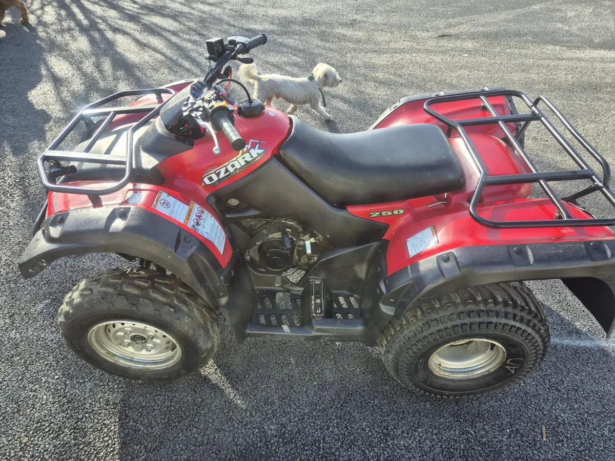 SUZUKI OZARK 250 - Image 3