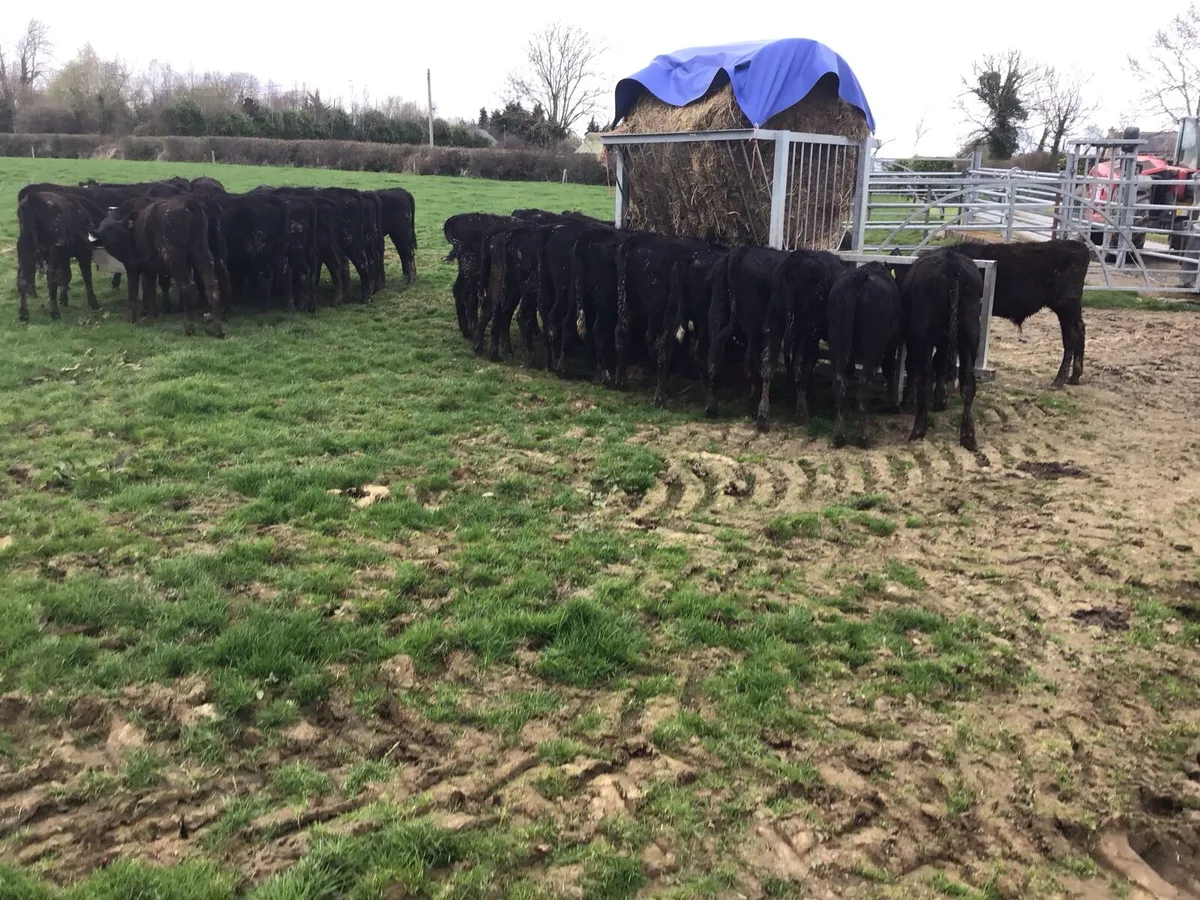 Feed troughs made to last - Image 1