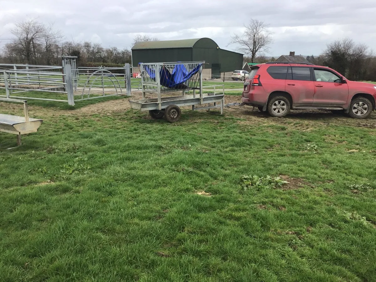Feed troughs made to last - Image 4