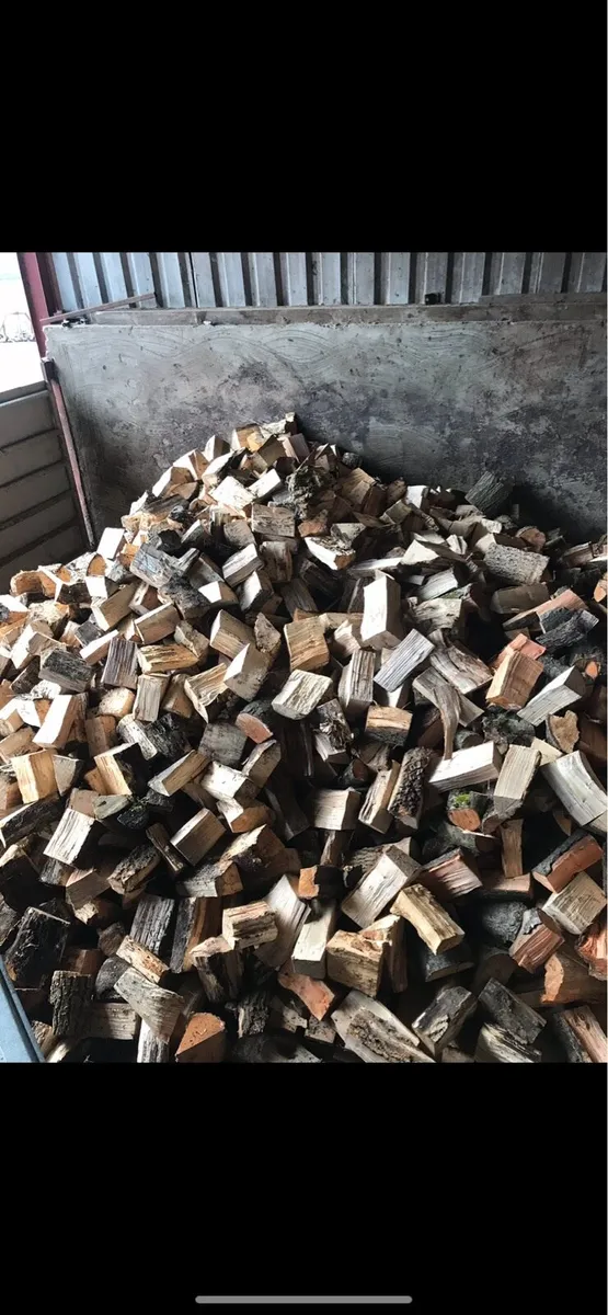 Hardwood firewood - Image 2