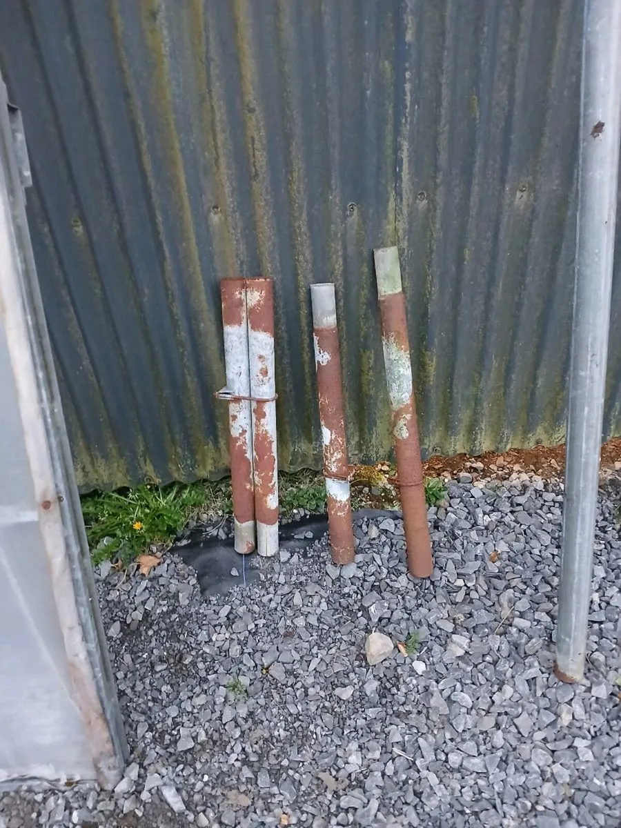 Pollytunnels - Image 4