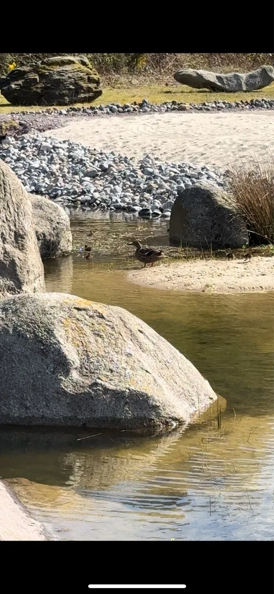 Zen Garden,  Grits , pebbles, Zen Rocks ,Zen Stone - Image 4