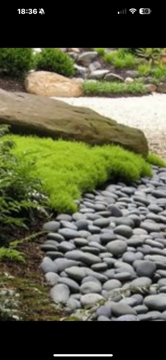 Zen  Gardens - Image 4