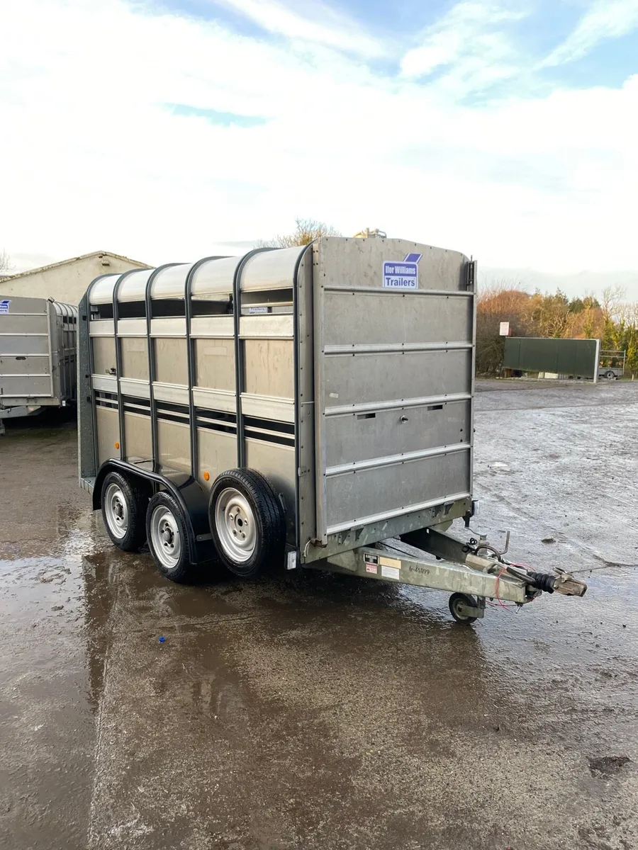 Ifor Williams Livestock Trailer - Image 1