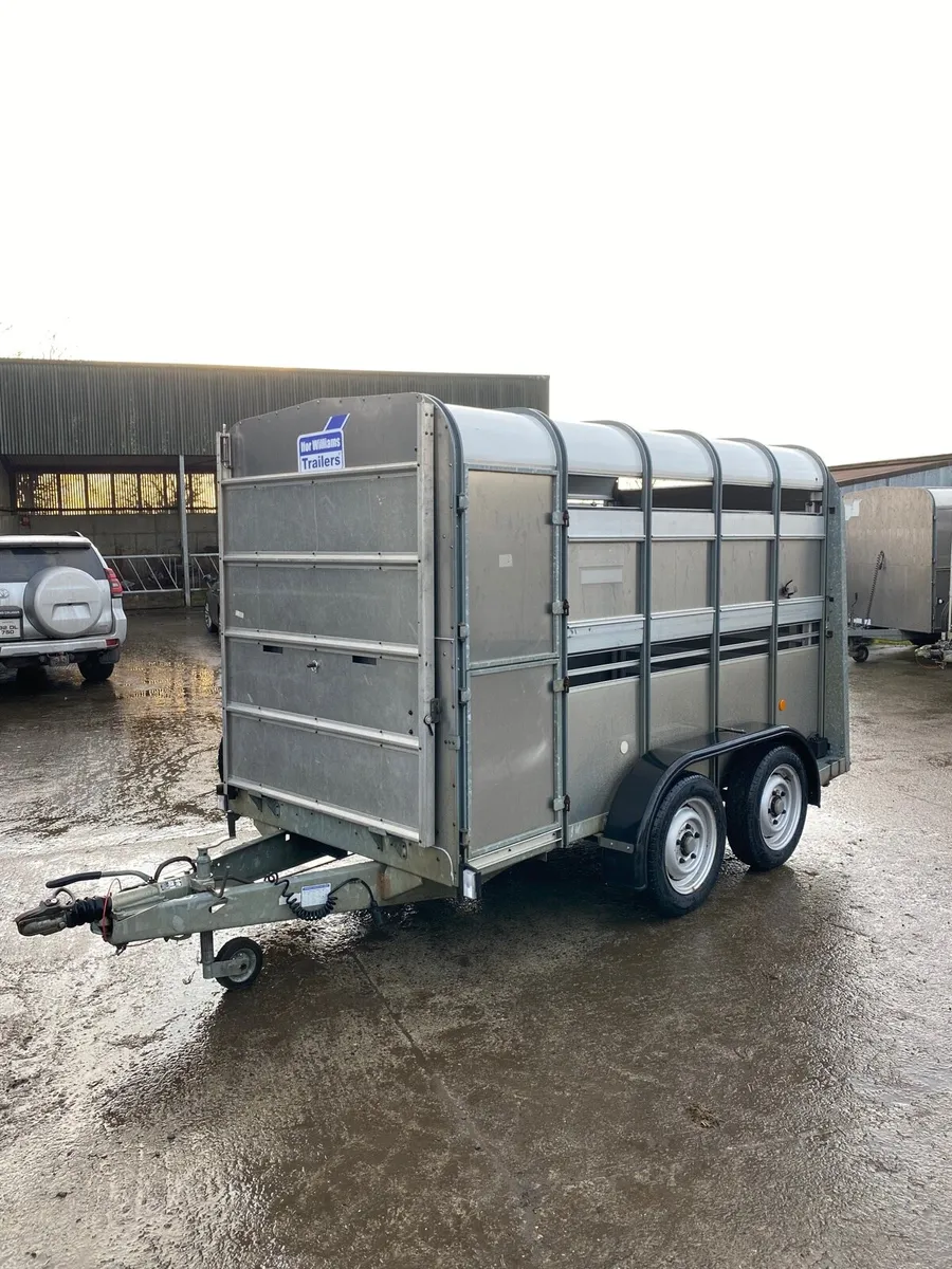 Ifor Williams Livestock Trailer - Image 2