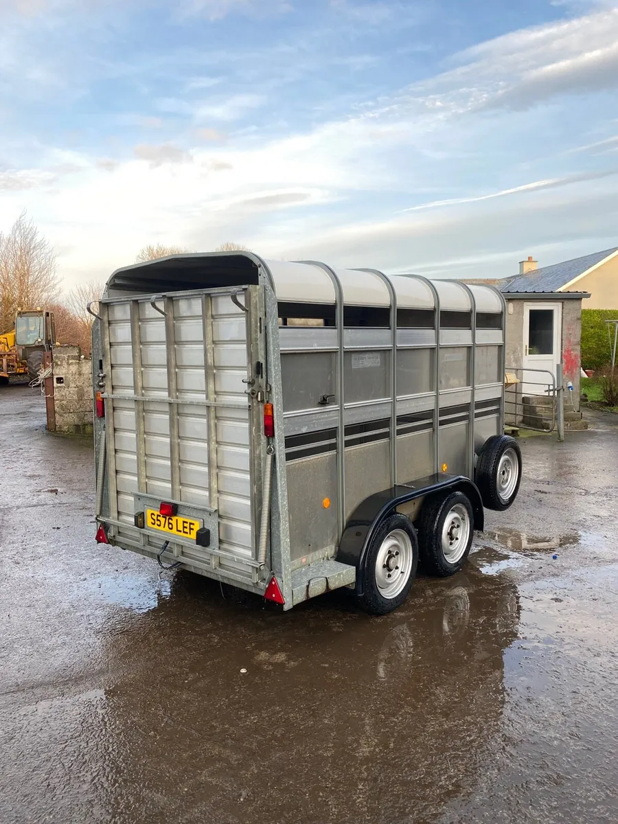 Ifor Williams Livestock Trailer - Image 4
