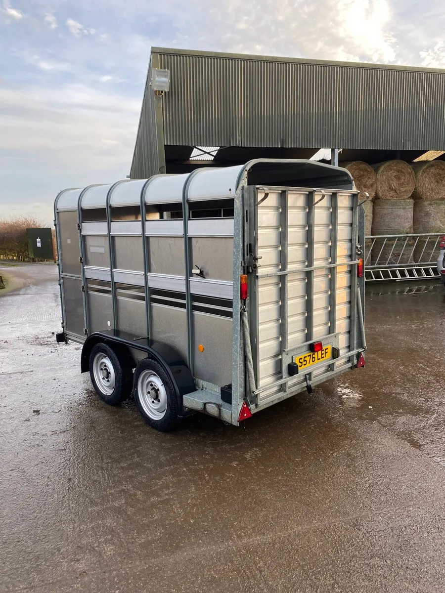 Ifor Williams Livestock Trailer - Image 3