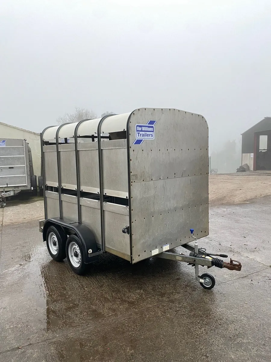 Ifor Williams Livestock Trailer - Image 2