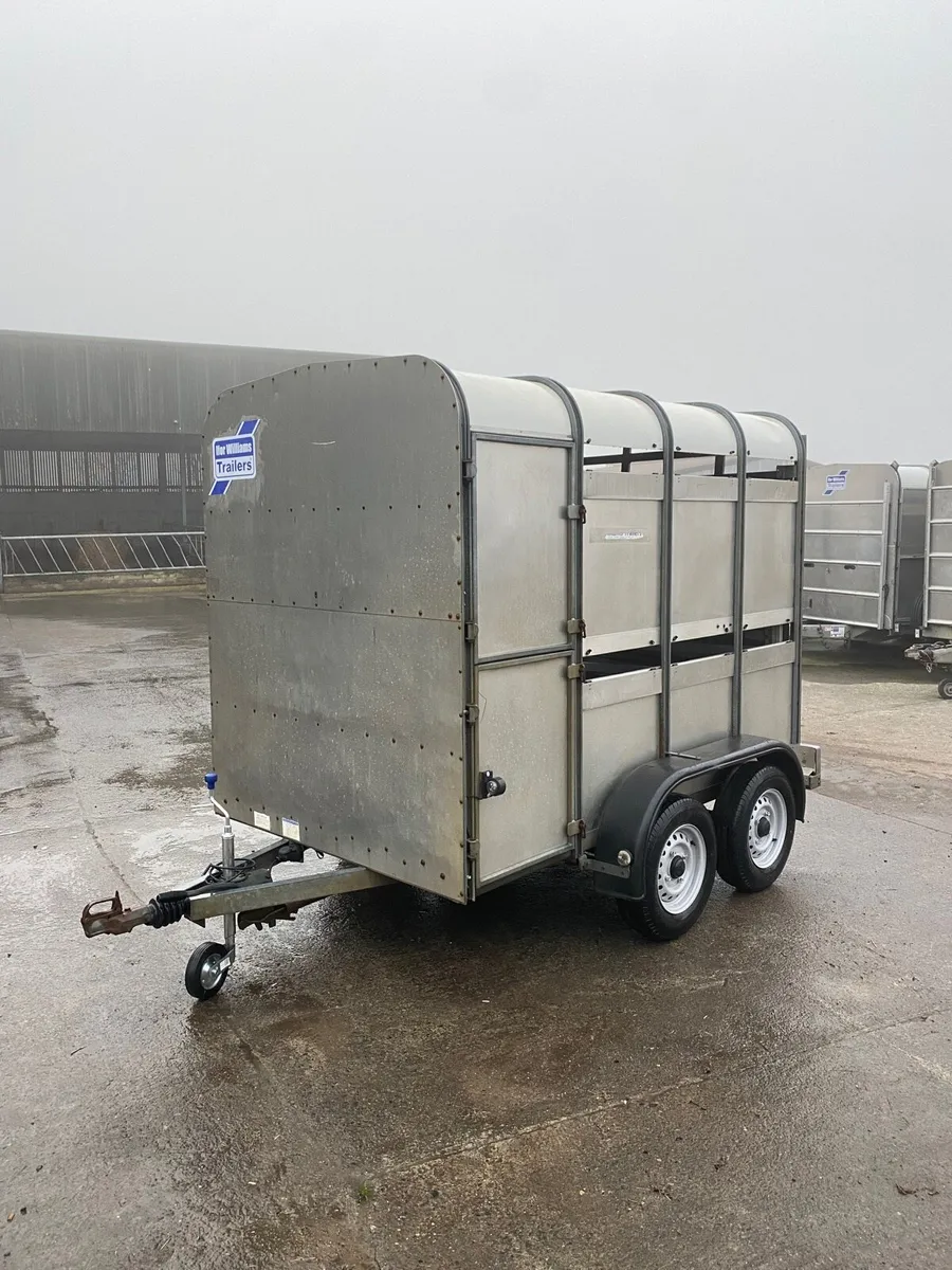 Ifor Williams Livestock Trailer - Image 1