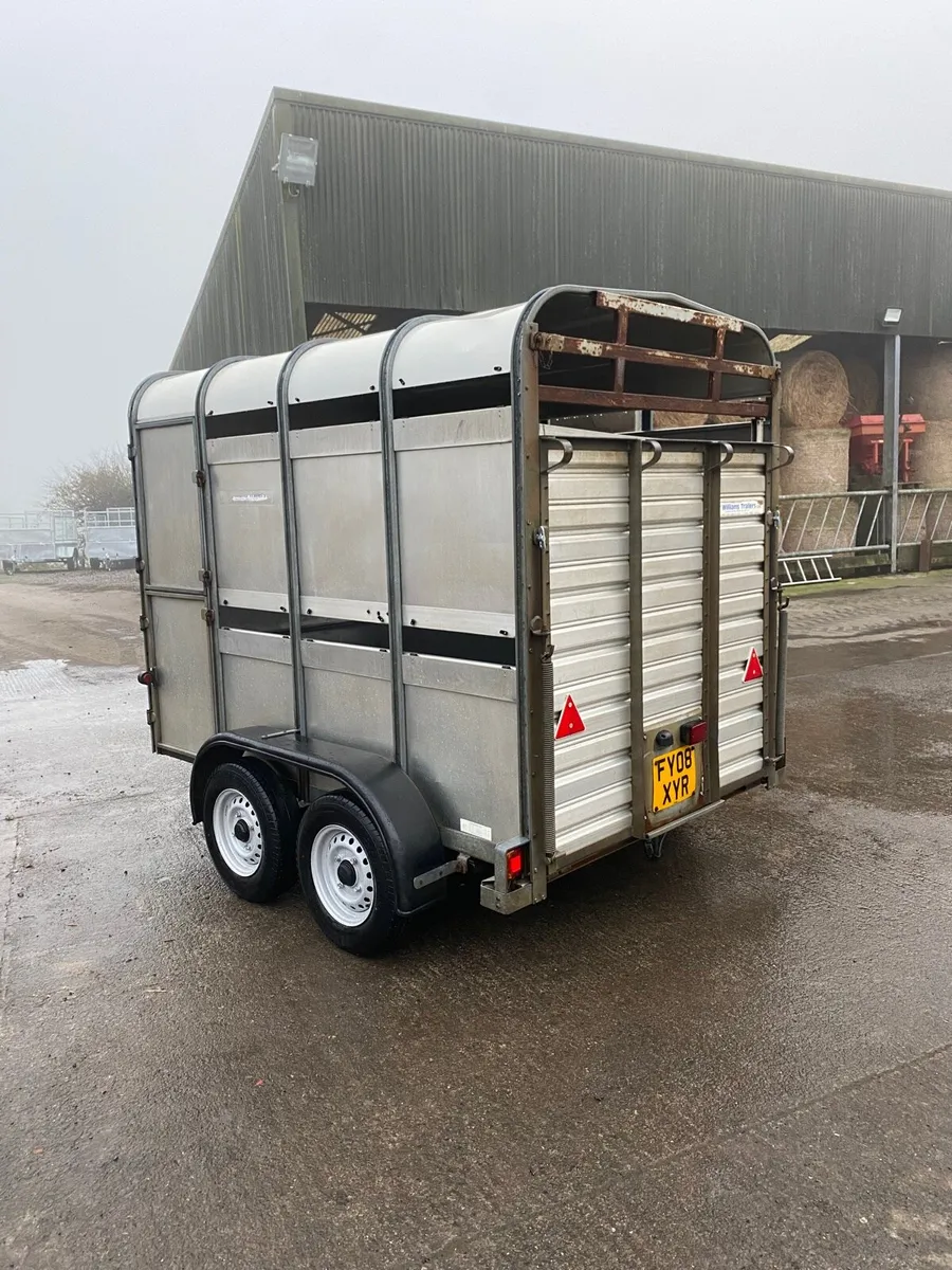Ifor Williams Livestock Trailer - Image 4