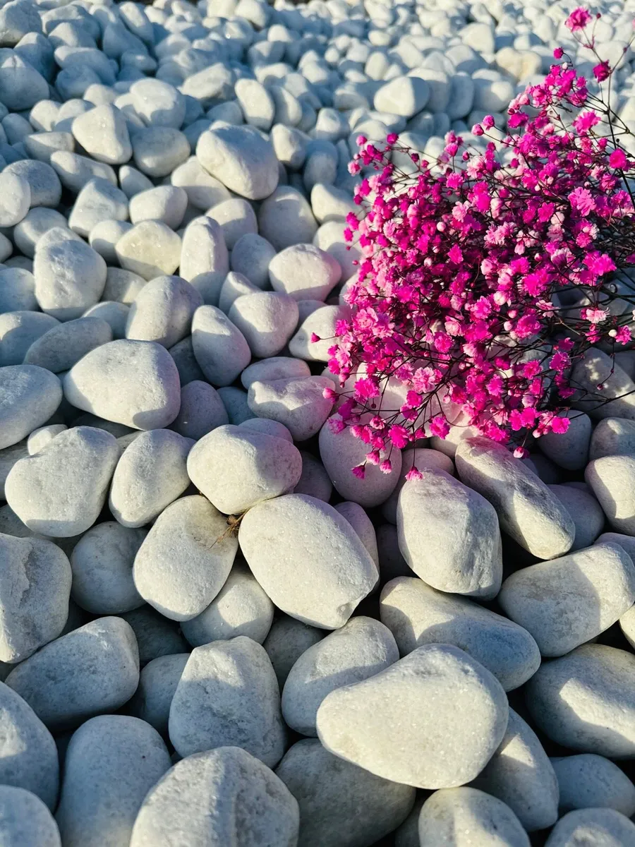 Beach pebbles Beach cobbles Beach Sand Beach stone - Image 3