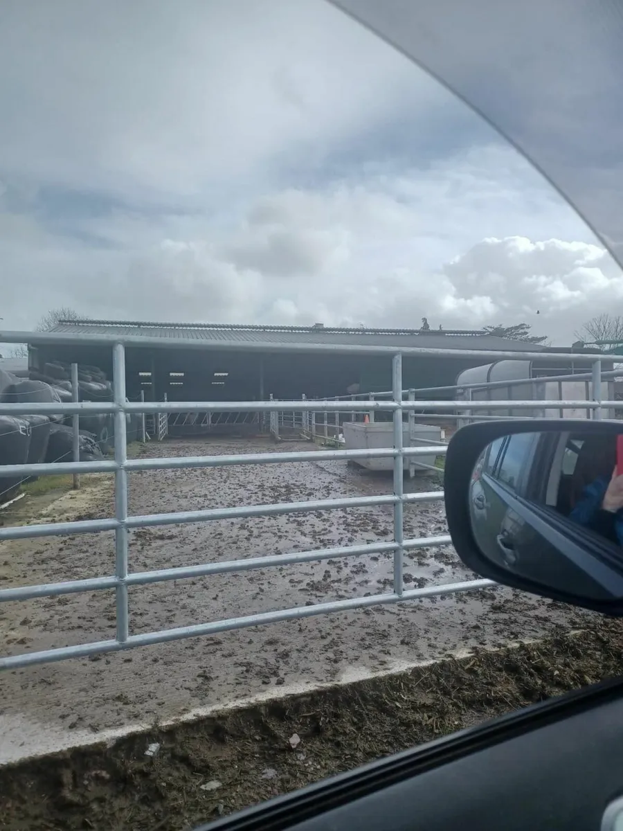 Builder Avalible and Welding services - Image 4