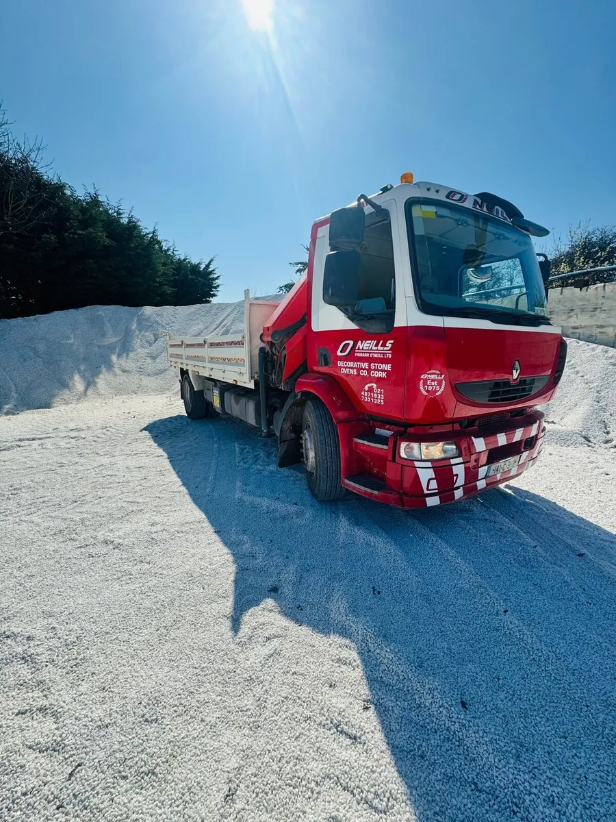 Beach pebbles, beach cobbles, Sea shell pebbles - Image 4