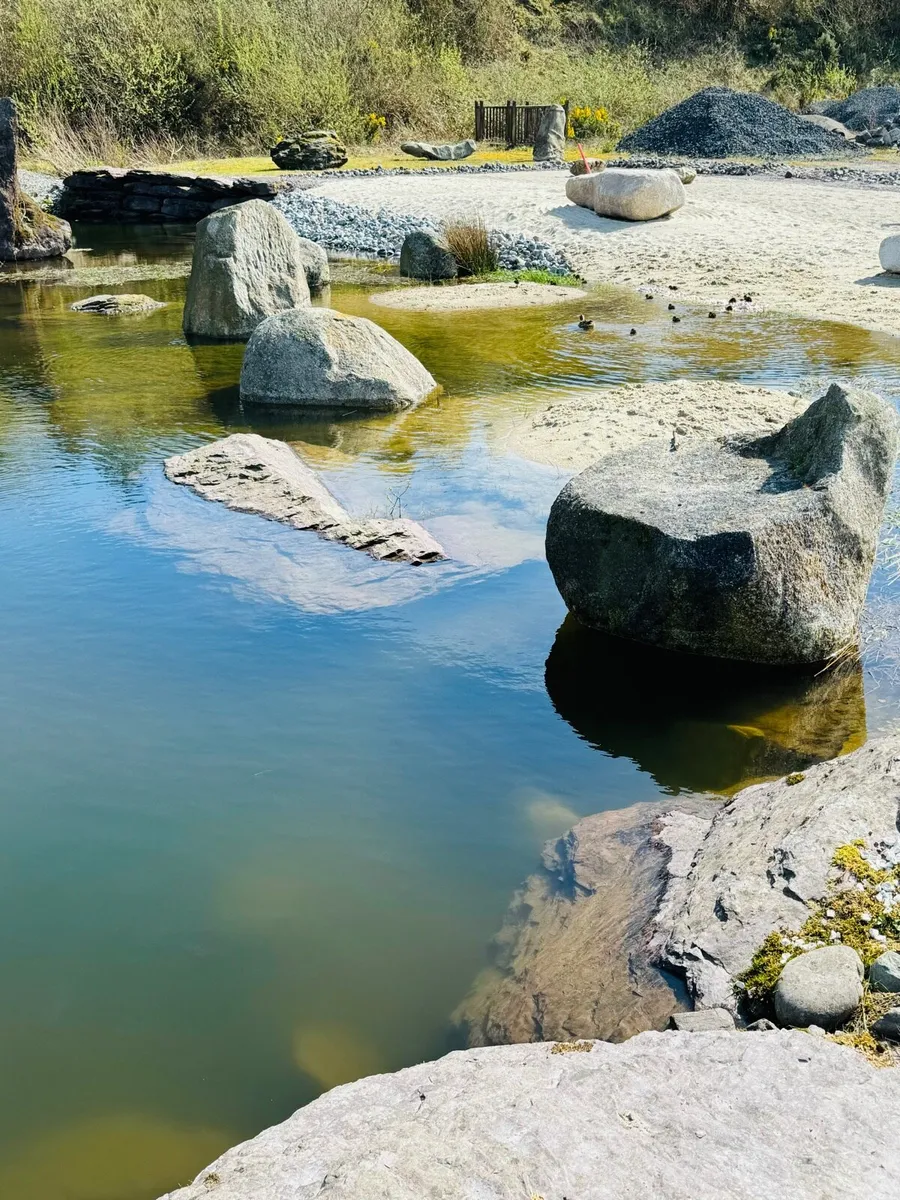 Beach pebbles, beach cobbles, Sea shell pebbles - Image 2