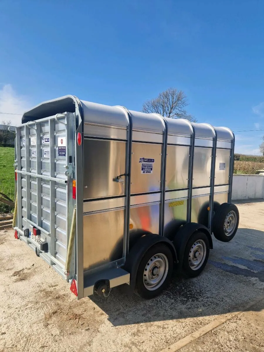 New ifor Williams livestock trailers - Image 2