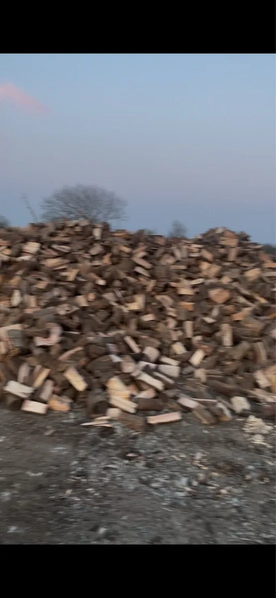 Firewood - Image 2