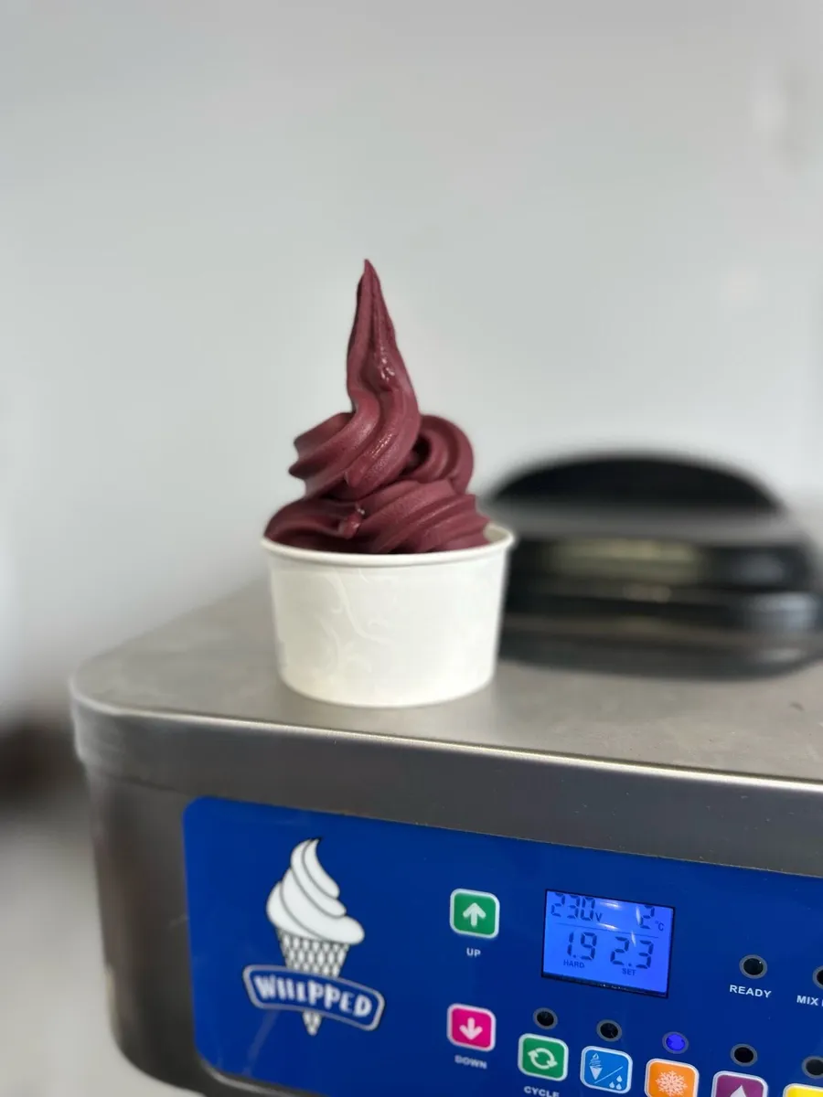 New Ice Cream & Açai  Machine - Image 2