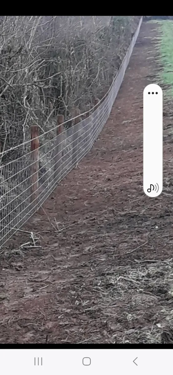 Frizzell fencing Tree shears service fully insured - Image 4