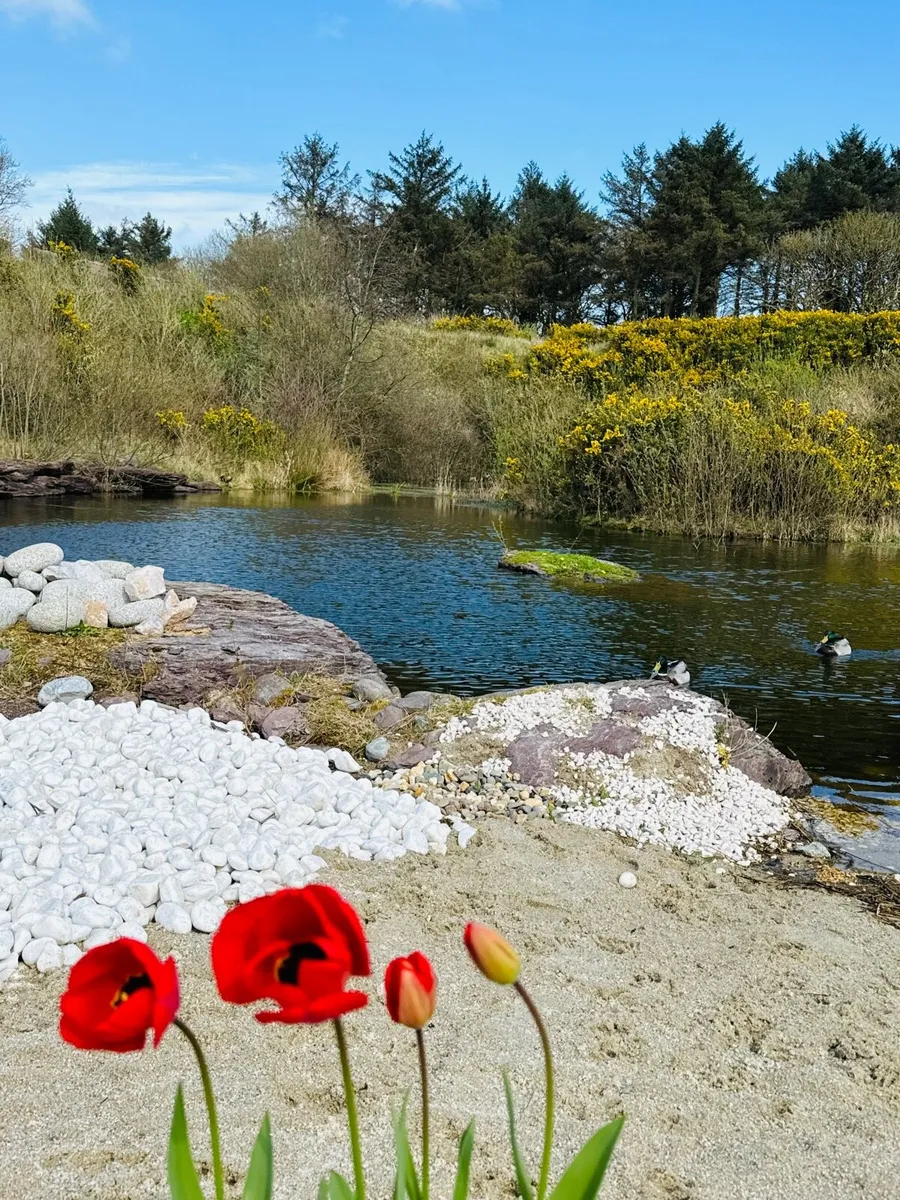 Beach pebble - Image 2
