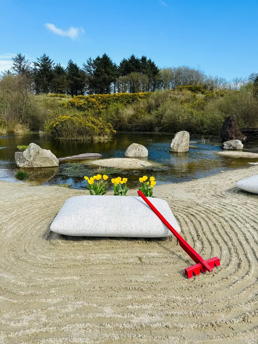 Beach pebble - Image 4