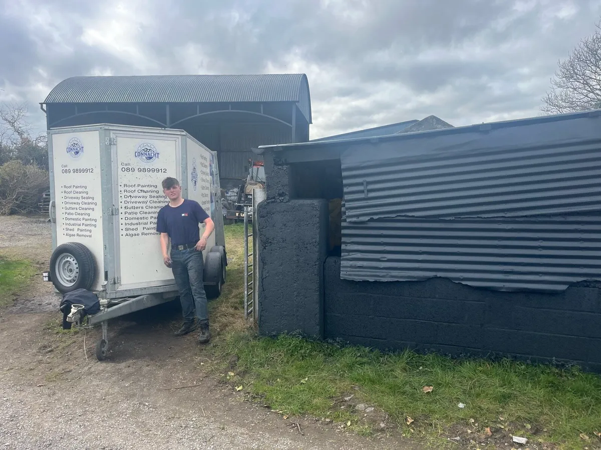 Shed painting - Image 2