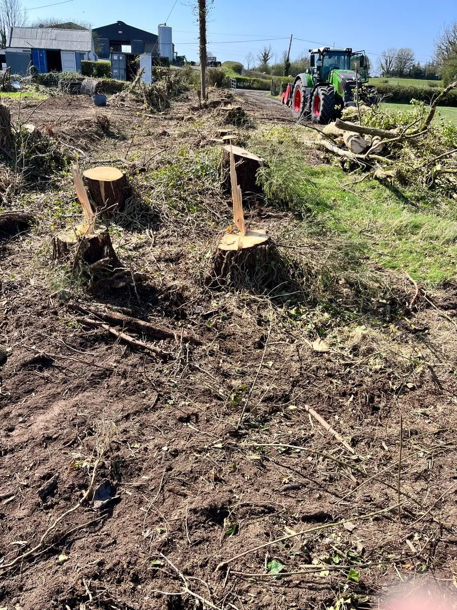 Stump grinding and mulching - Image 4