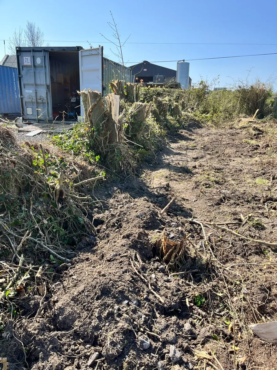 Stump grinding and mulching - Image 2