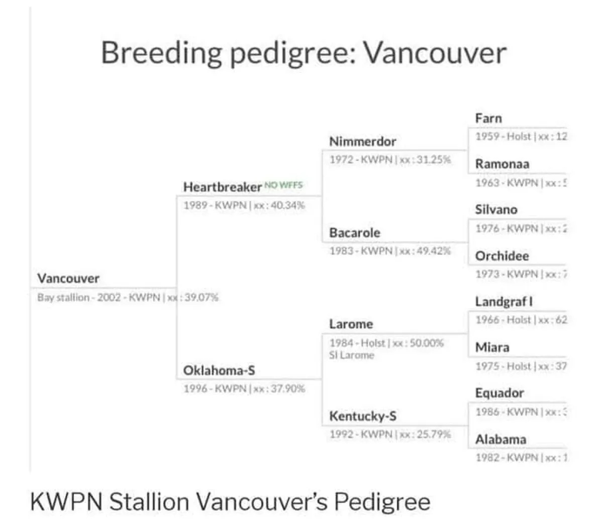 Vancouver 5☆ Elite Stallion at Stud - Image 3