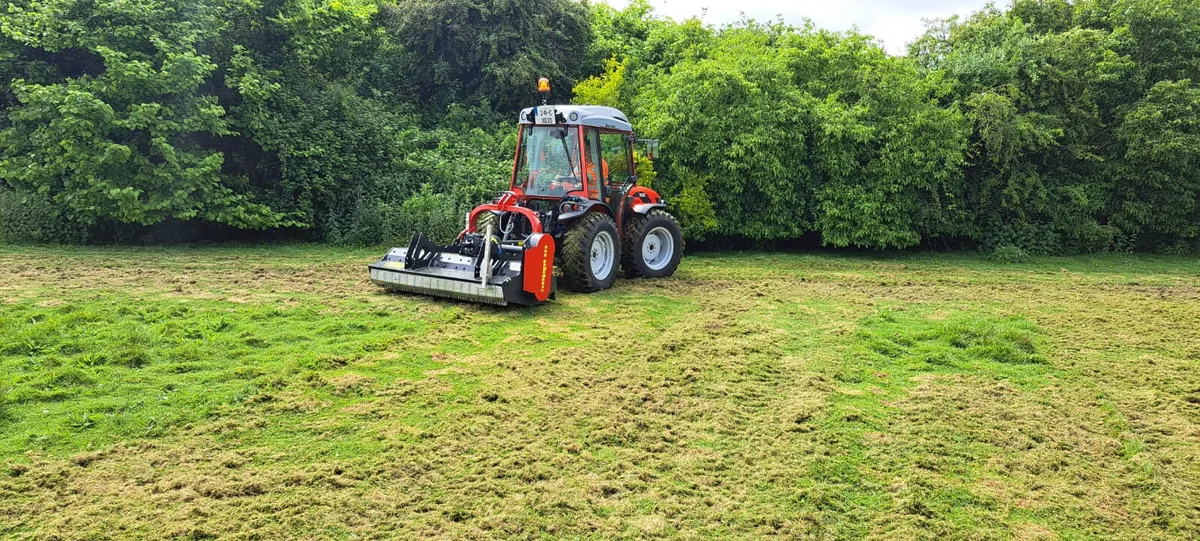 Antonio carraro - Image 2