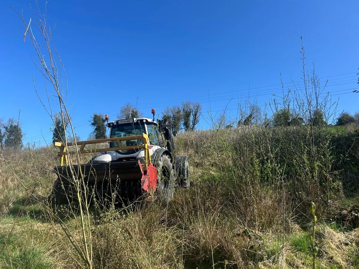 Site clearance mulching whins/scrub - Image 3
