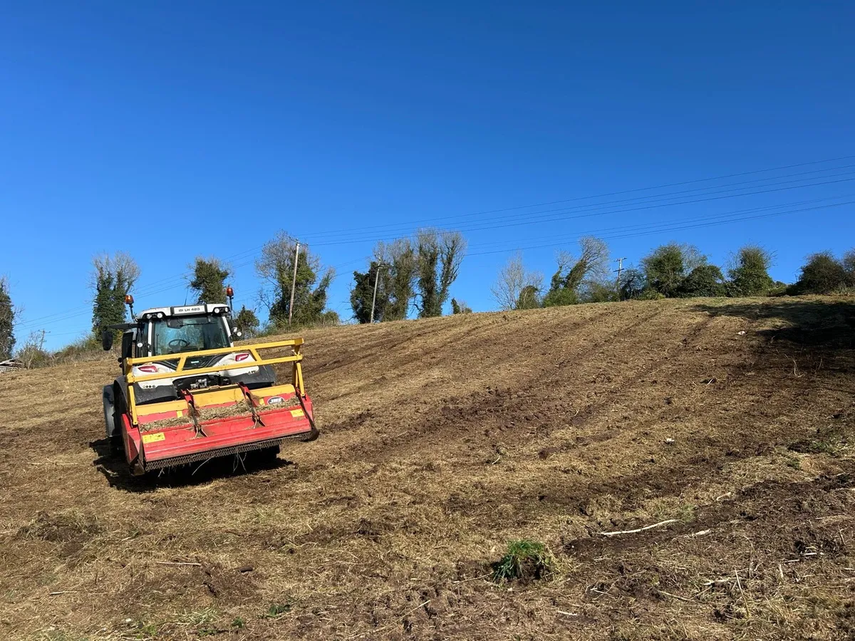 Site clearance mulching whins/scrub - Image 2