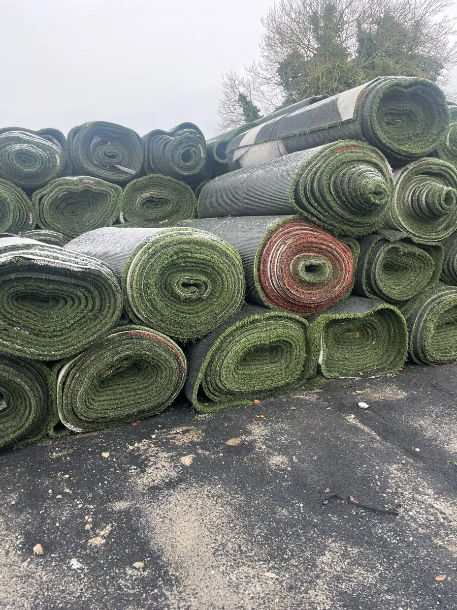 Astro turf cow paths - Image 2