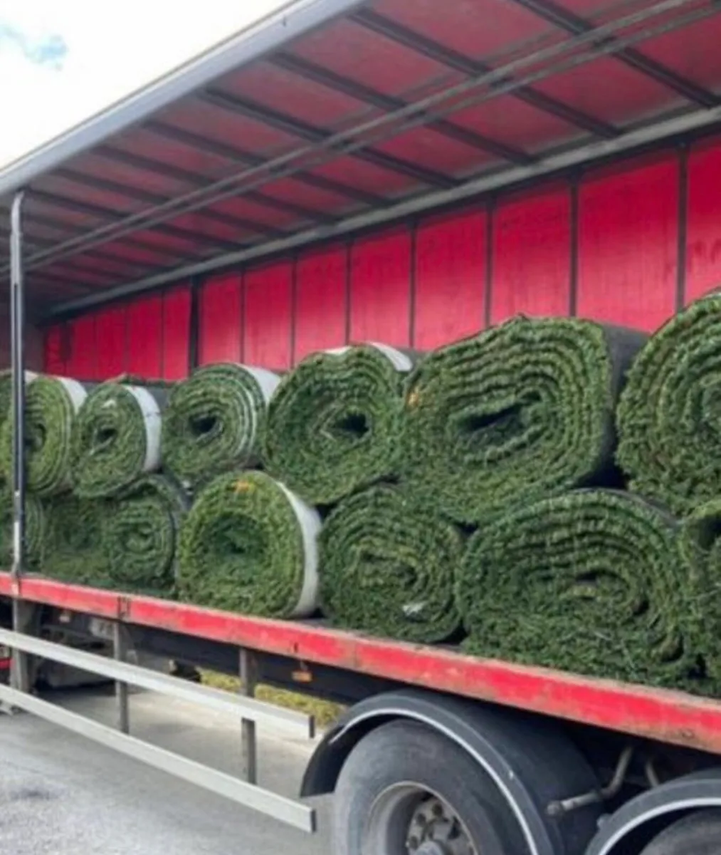 Astro turf cow paths - Image 3